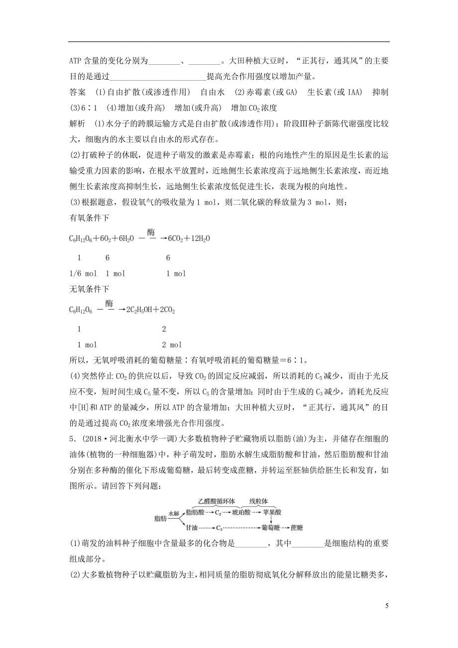 （通用版）2019版高考生物二轮复习 专题一 细胞的分子组成、基本结构和生命历程 小专题1 种子成熟过程及萌发过程中相关物质的转化学案_第5页