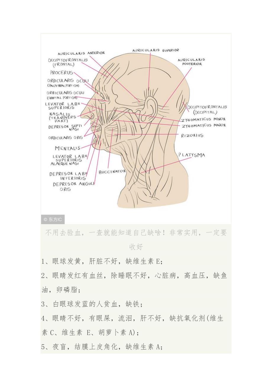 血液与健康----人体血液的重要性_第2页