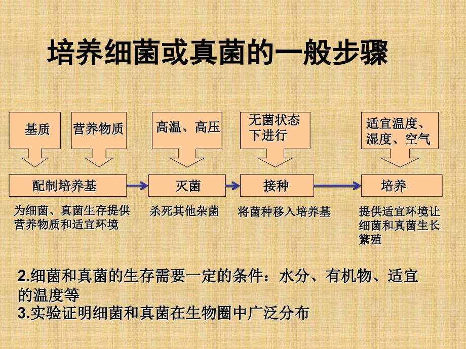 八年级生物上册总复习课件(第六单元)_第3页