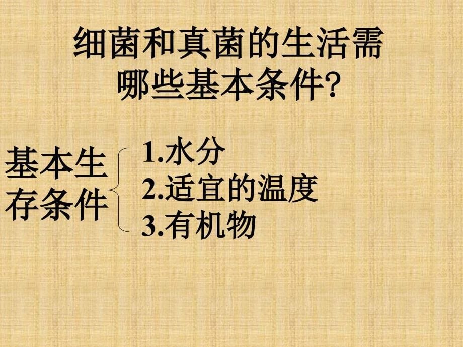 八年级生物上册总复习课件(第六单元)_第5页