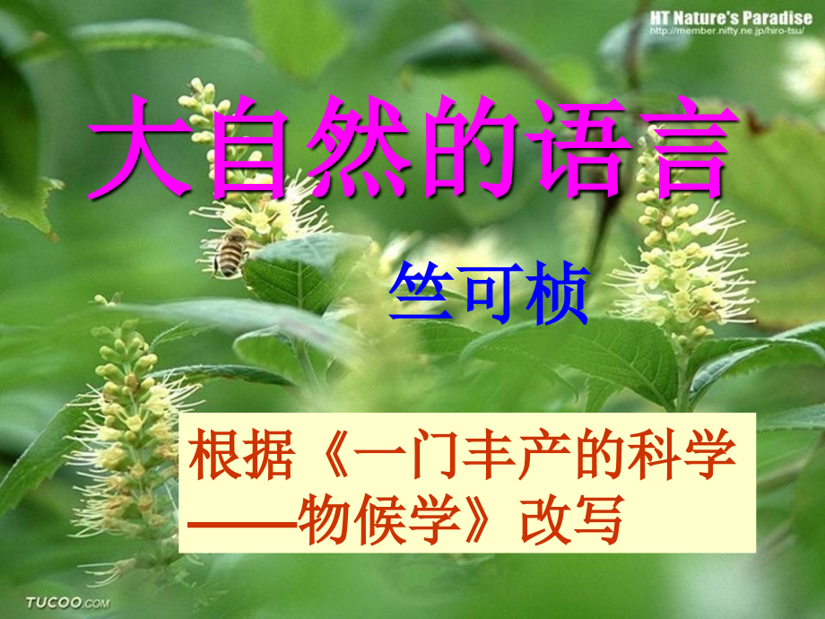 八年级语文上册第四单元复习(罗朝经)_第1页