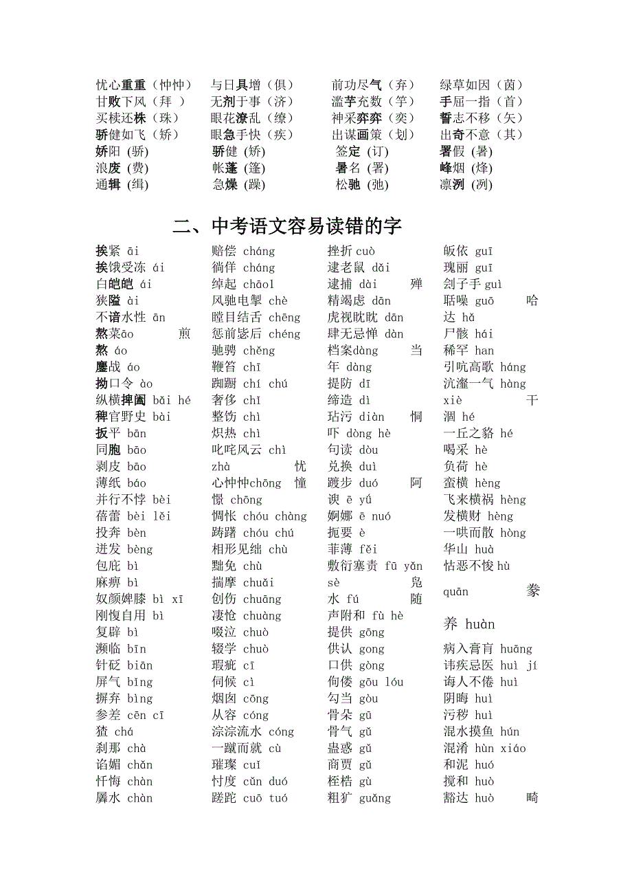 新中考语文总复习资料全集_第2页