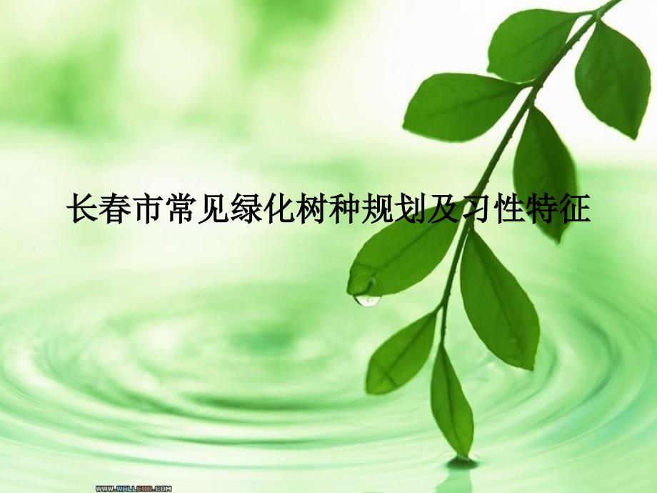 长春市树种规划完结_第1页