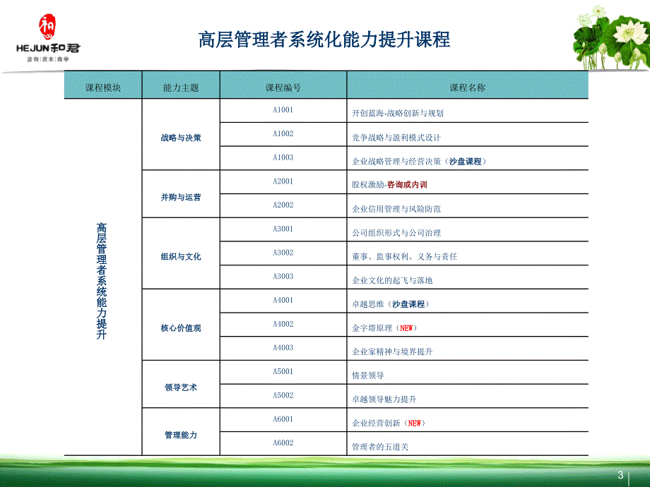 和君集团课程及师资简介_第3页