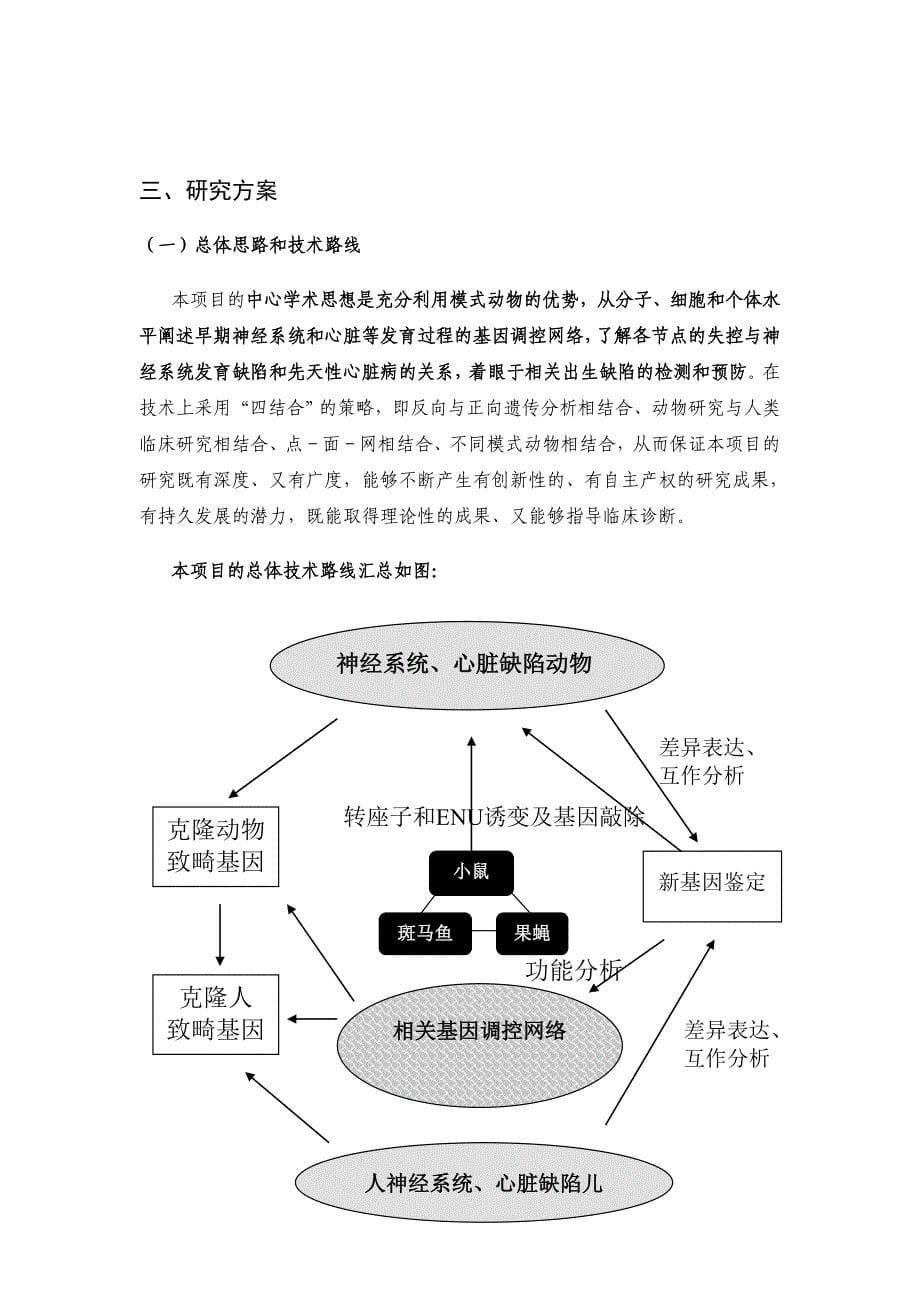 国家自然基金申请书-利用模式动物研究遗传性出生缺陷的发生机理_第5页