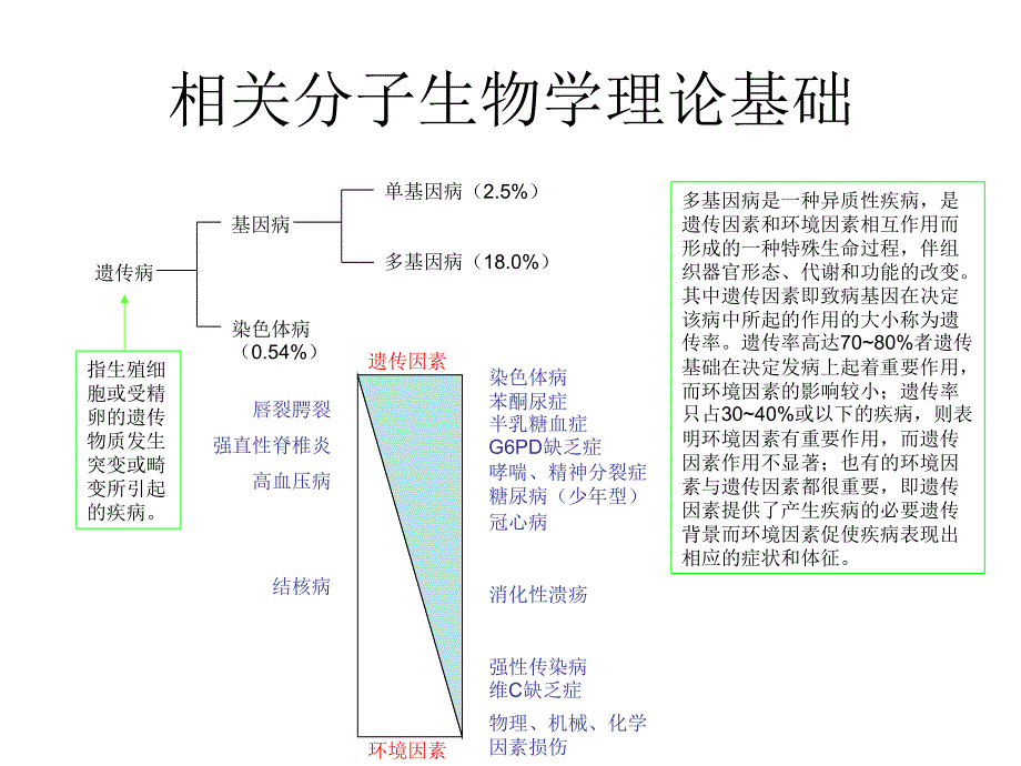 糖尿病与分子生物学.ppt_第2页