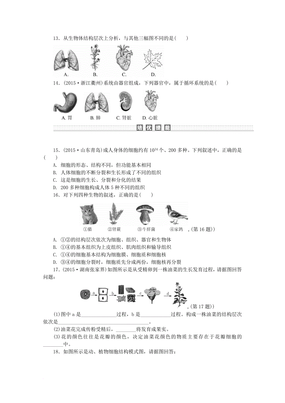 中考科学一轮基础复习 考点达标训练 1 细胞组织器官和系统_第3页