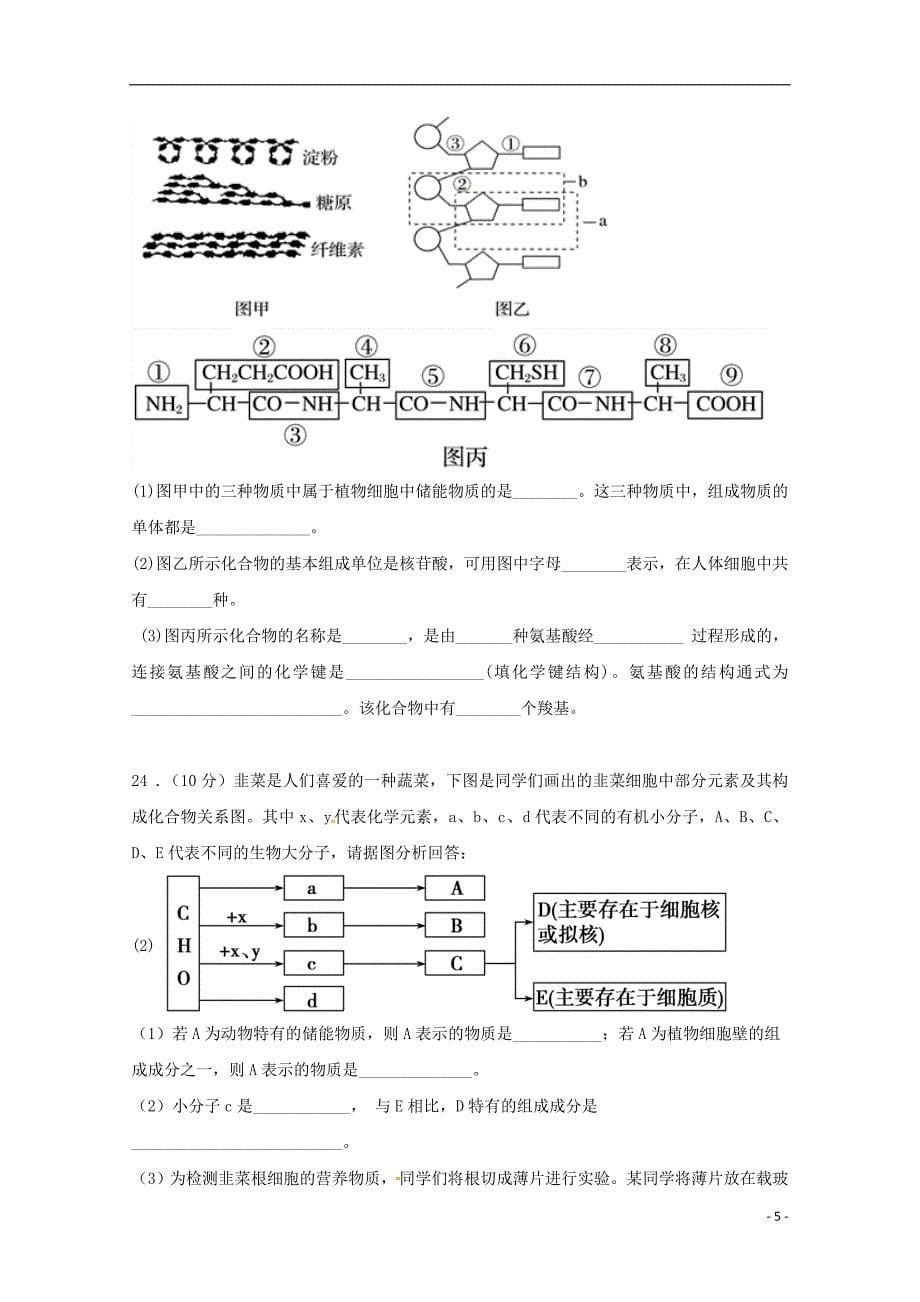 广东省2018-2019学年高一生物上学期期中试题_第5页