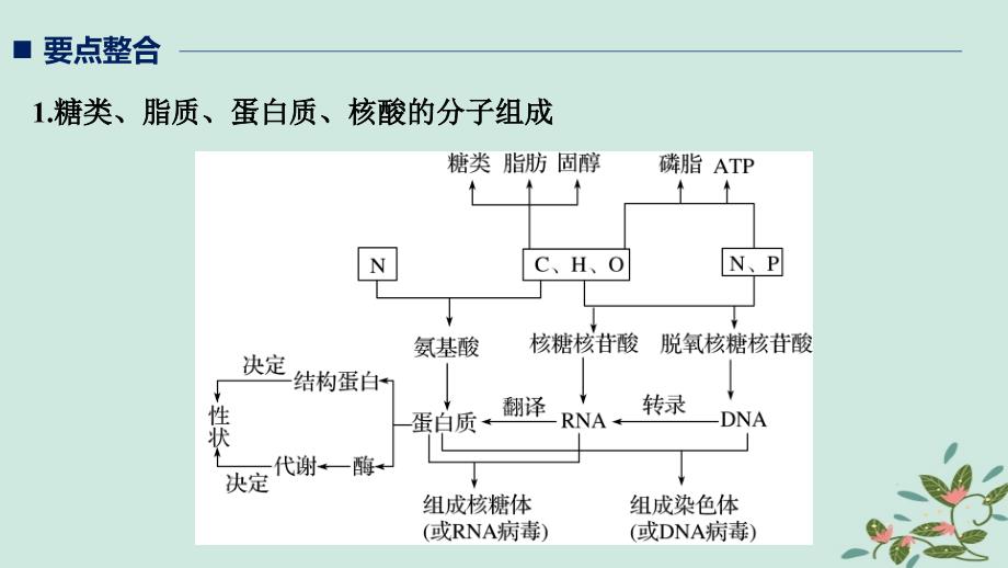 （通用版）2019版高考生物二轮复习 专题一 细胞的分子组成、基本结构和生命历程 考点1 细胞的分子组成课件_第2页