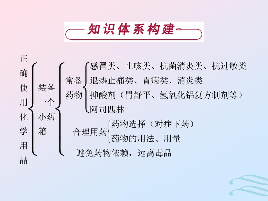 2018-2019学年高中化学 主题5 正确使用化学用品主题优化总结课件 鲁科版必修1_第2页