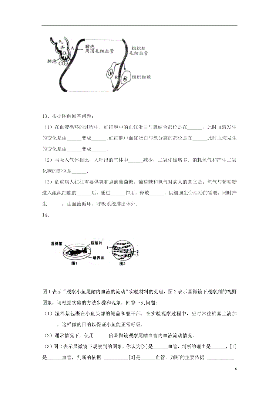 北京师范大学乌海附属学校2018-2019学年七年级生物上学期9月月考试题（无答案）_第4页