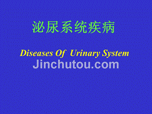 泌尿系统疾病(Diseases Of  Urinary System)