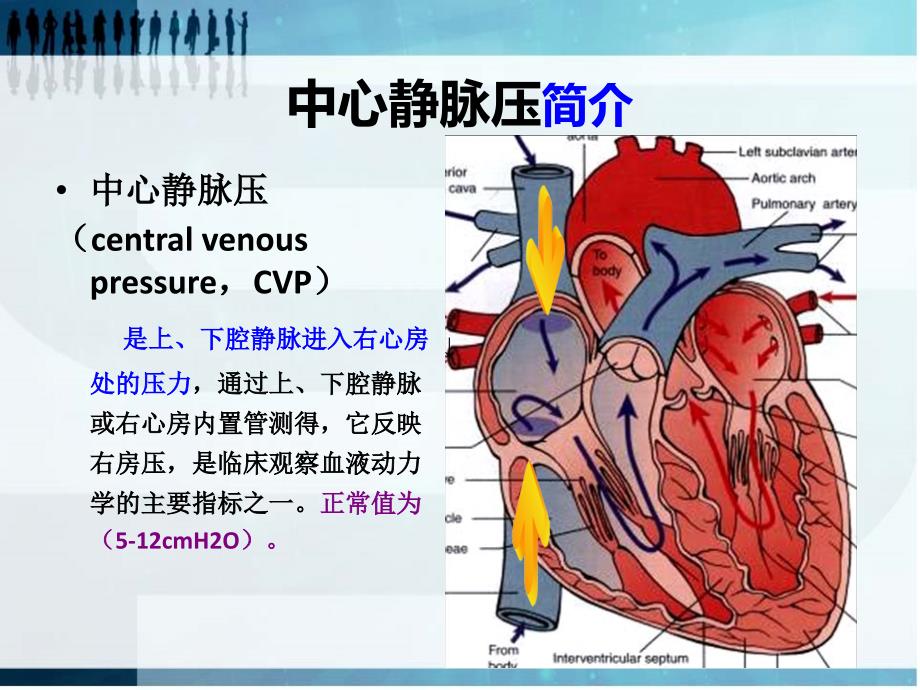 cvp与血压关系_第4页