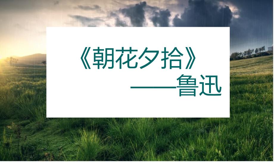《狗猫鼠》_第1页
