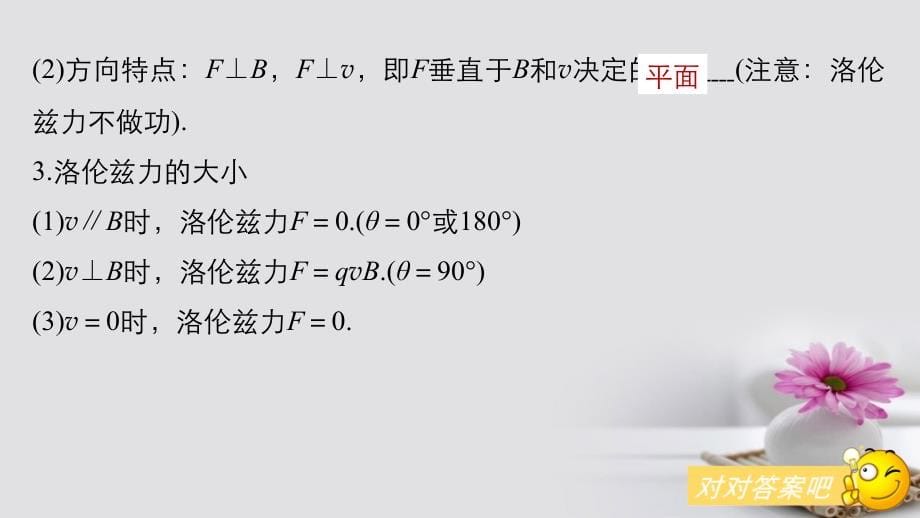 高考物理大一轮复习 第八章 磁场 第2讲 磁场对运动电荷的作用课件_第5页