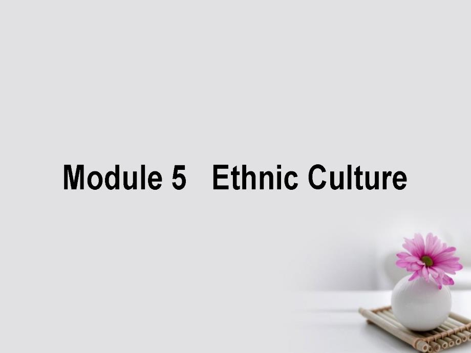 高考英语一轮复习构想 module 5 ethnic culture课件 外研版选修_第1页