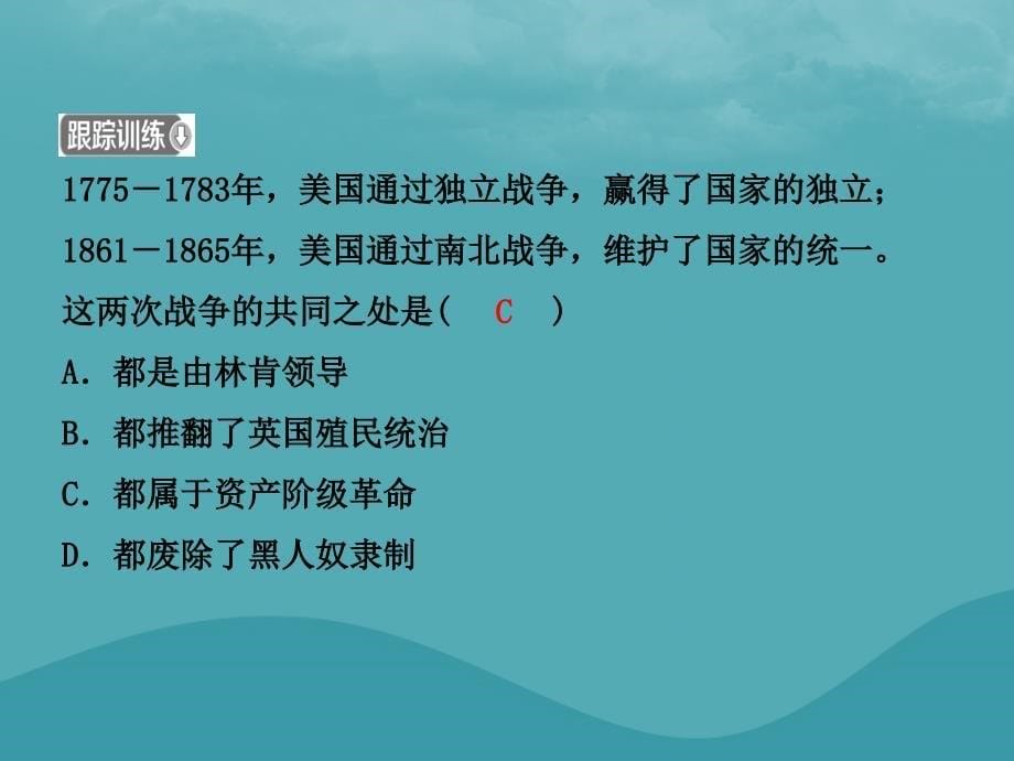 （东营专版）2019年中考历史复习 第二十单元 殖民地人民的反抗与资本主义制度的扩展课件_第5页