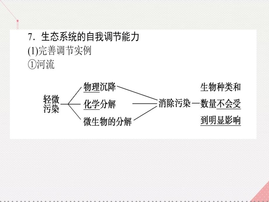 高考生物一轮复习构想第四单元生态系统与环境保护基础落实案3生态系统的稳定性和生态环境的保护课件新人教版必修3_第5页