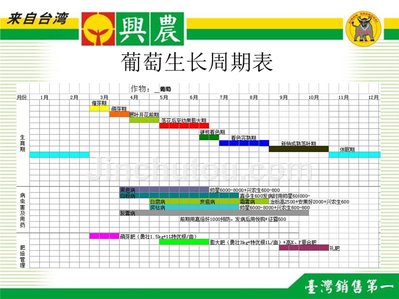 巨峰葡萄栽培管理技术()_第3页