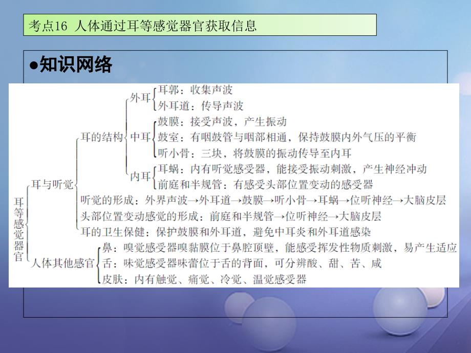 中考生物 第四章 考点1617复习课件_第2页