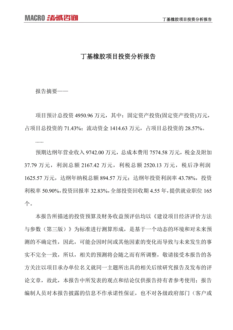 丁基橡胶项目投资分析报告_第1页