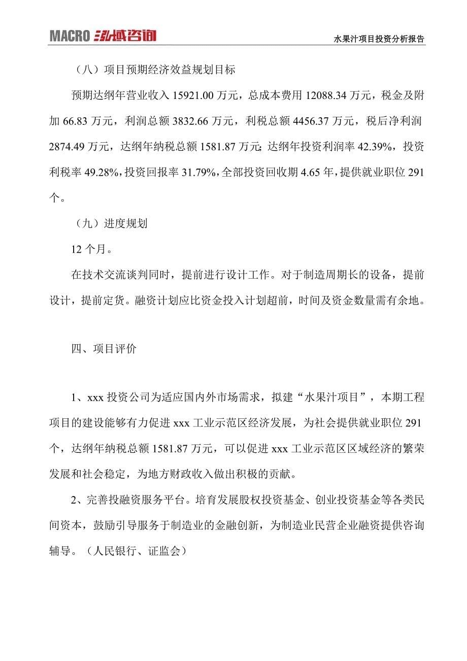 水果汁项目投资分析报告_第5页