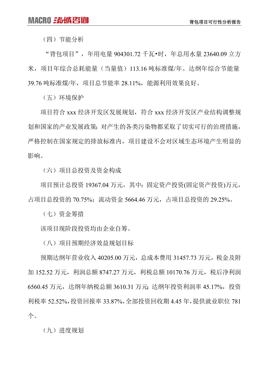 背包项目可行性分析报告_第4页