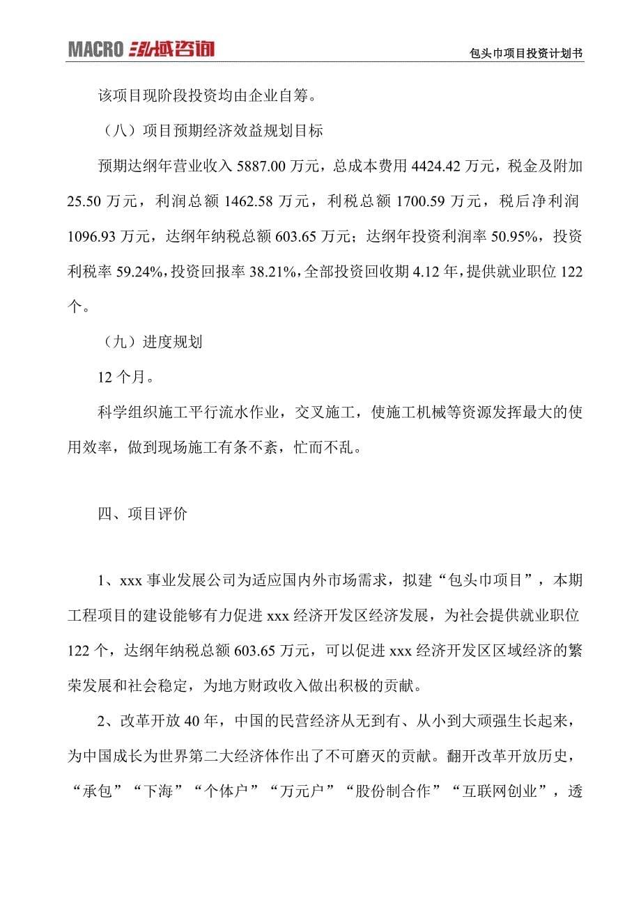 包头巾项目投资计划书_第5页