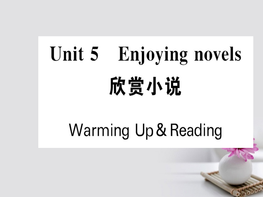 高中英语 unit 5 enjoying novels warming up  reading课件 新人教版选修_第1页