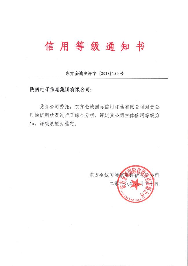 陕西电子信息集团有限公司2018年度主体评级报告(更新)