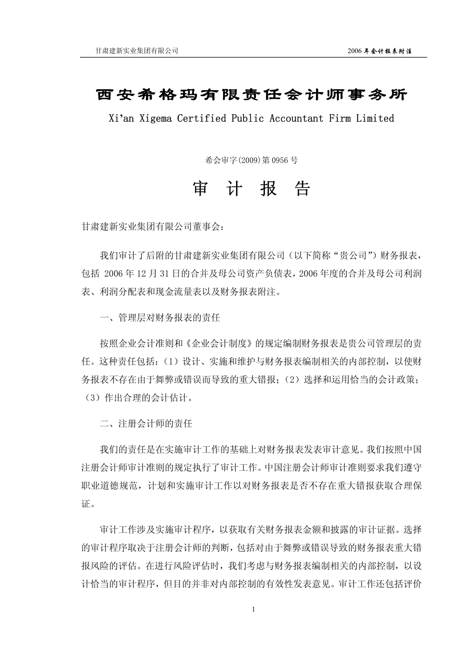 西安希格玛有限责任会计师事务所审计报告_第1页