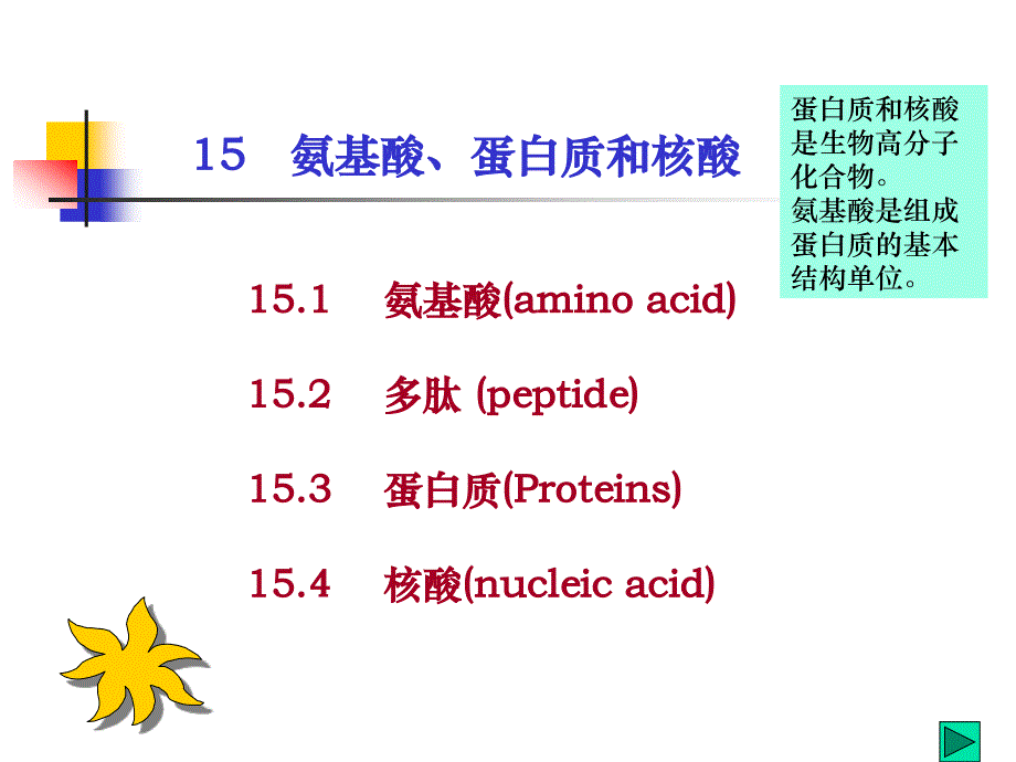 《有机化学》（第一版 ）第十六章氨基酸、蛋白质、核酸_第2页