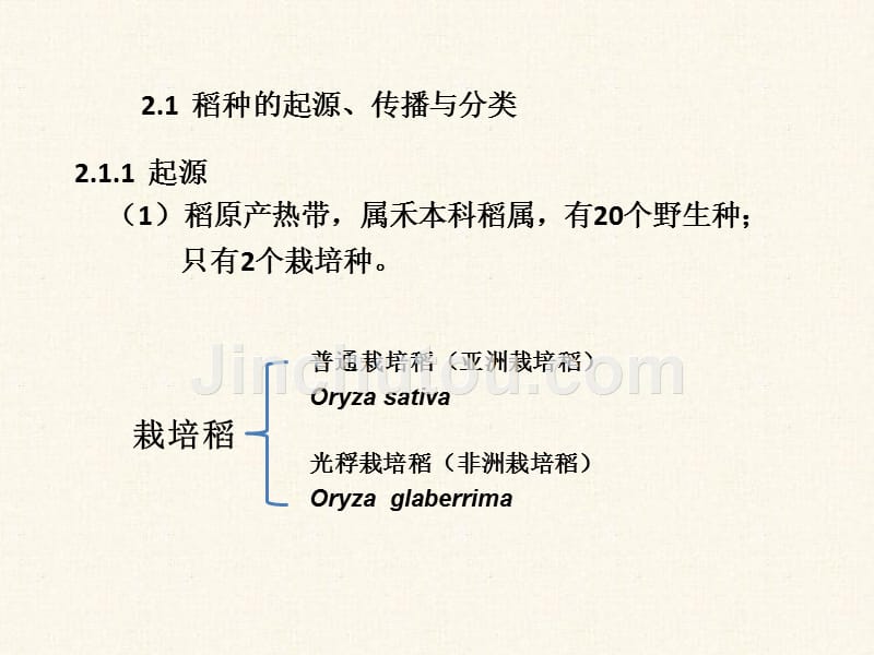 水稻栽培生物学基础_第2页