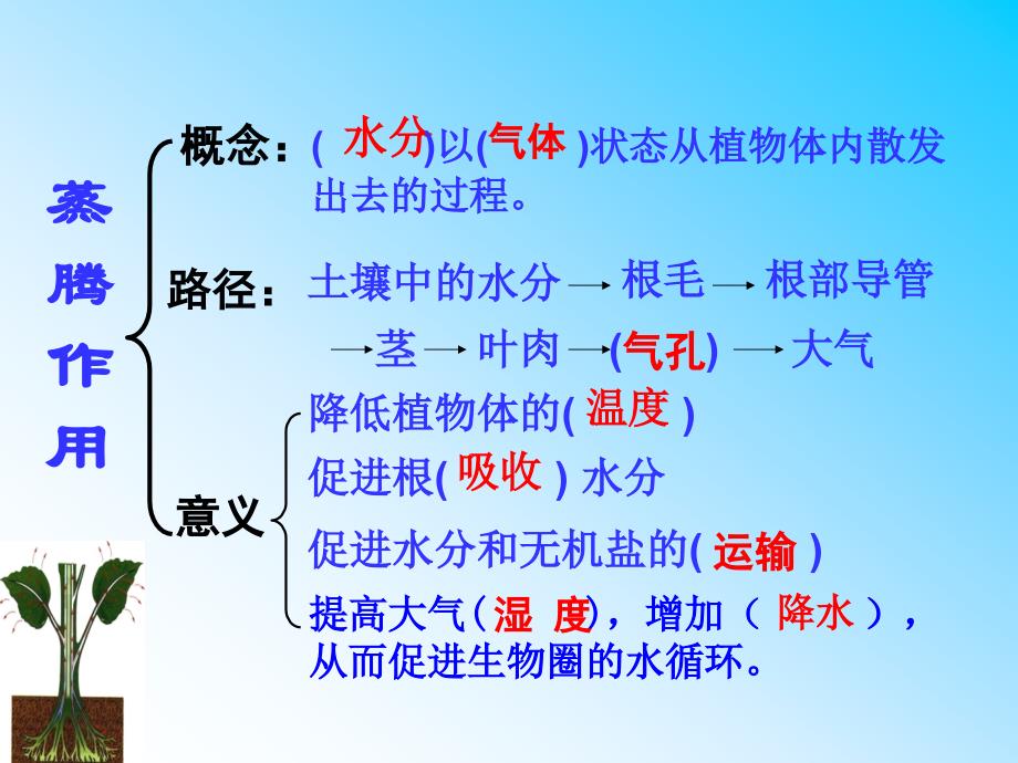 绿色植物的三大生理作用复习专题_第4页