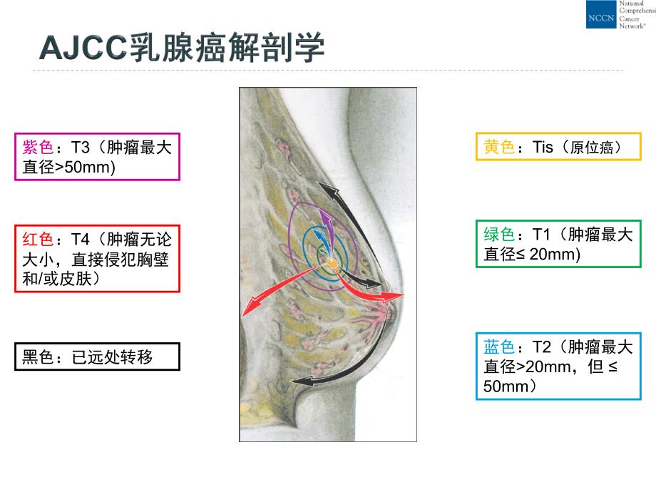 乳腺癌-中文版NCCN指南(2016-v.1版)_第3页