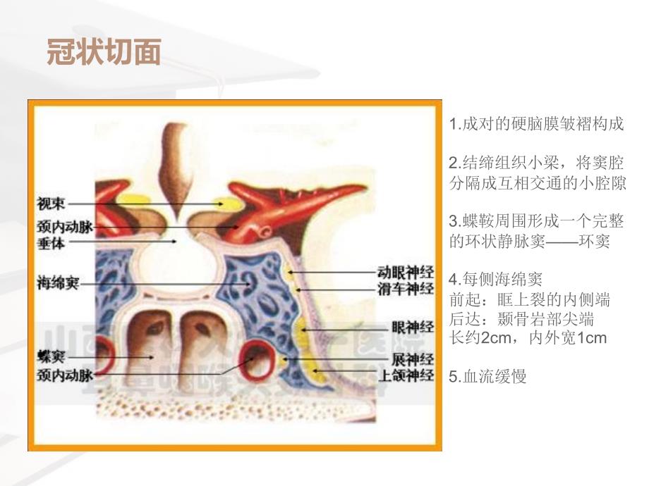海绵窦综合征、眶上裂综合征与眶尖综合征_第4页