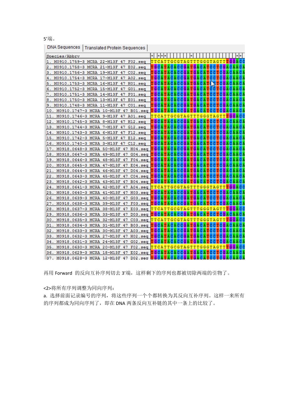 功能基因序列比对方法_第4页