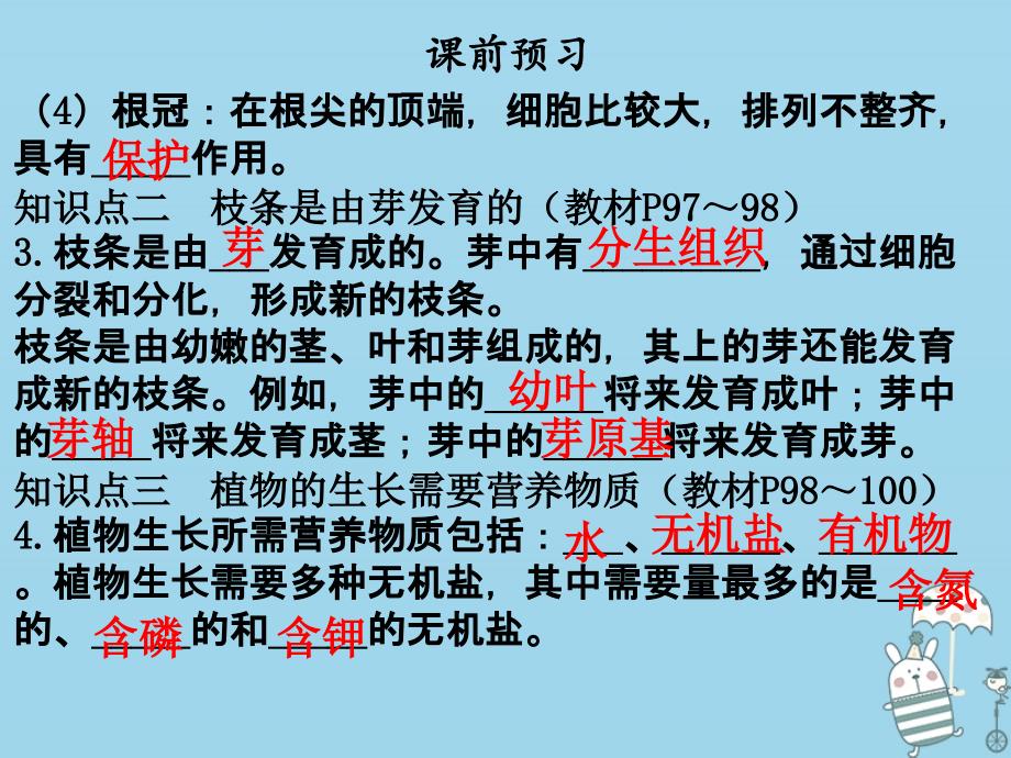 2018年七年级生物上册第三单元第二章第二节植株的生长课件新版新人教版_第4页