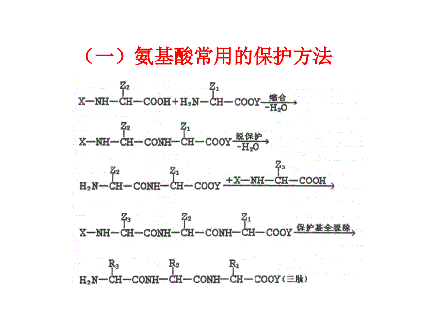 多肽化学合成_第4页