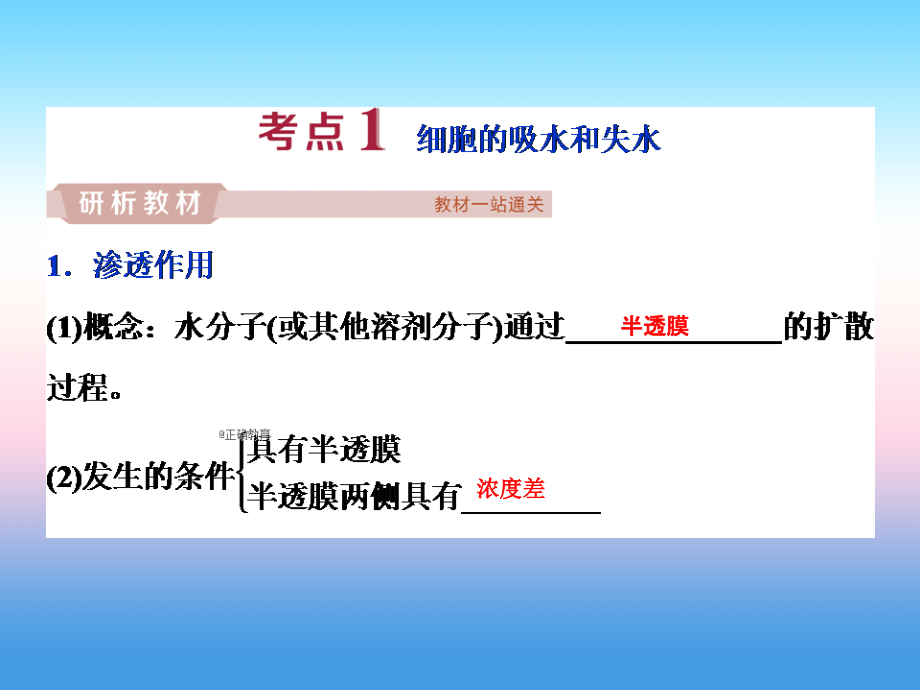 2019届高考生物人教版一轮复习课件：第2单元 3 第7讲 物质跨膜运输的实例、方式_第3页