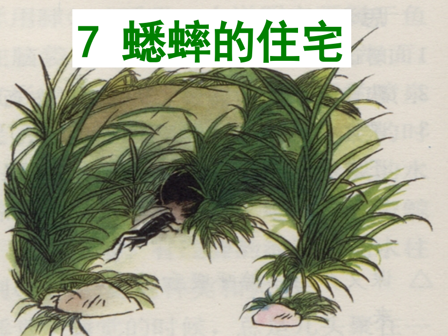 《蟋蟀住宅》(最新版)_第1页