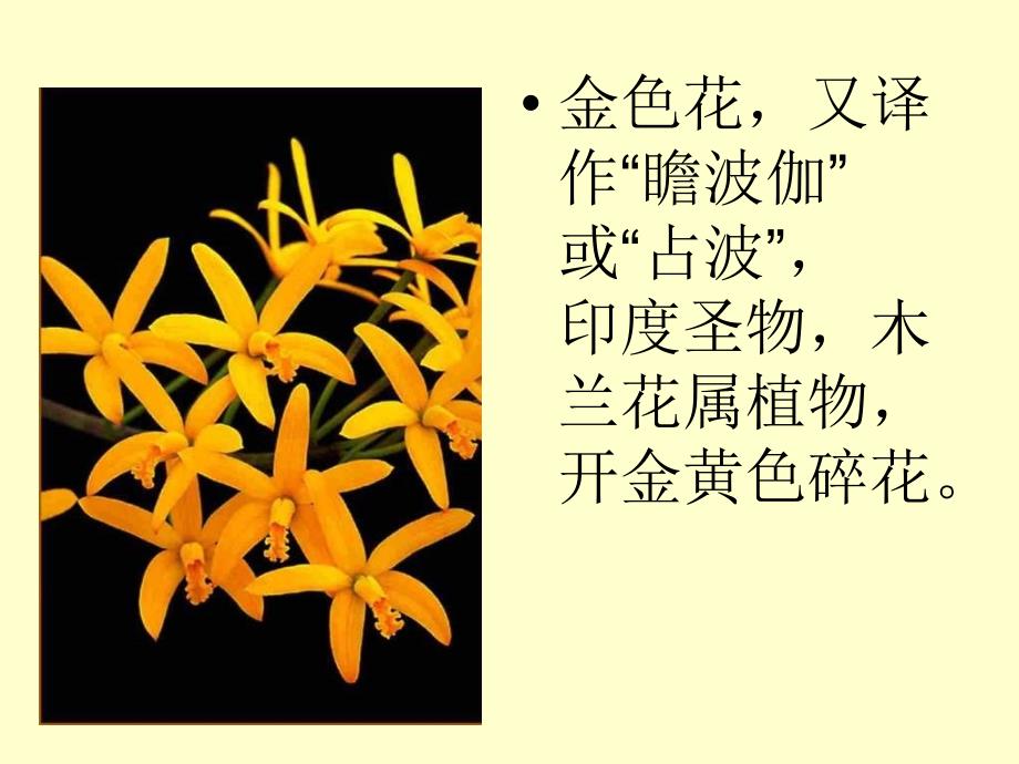 《金色花》课件 (2)_第4页