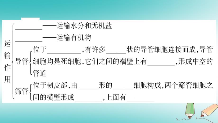 2018年七年级生物上册第3单元第5章第5节运输作用习题课件新版北师大版_第3页