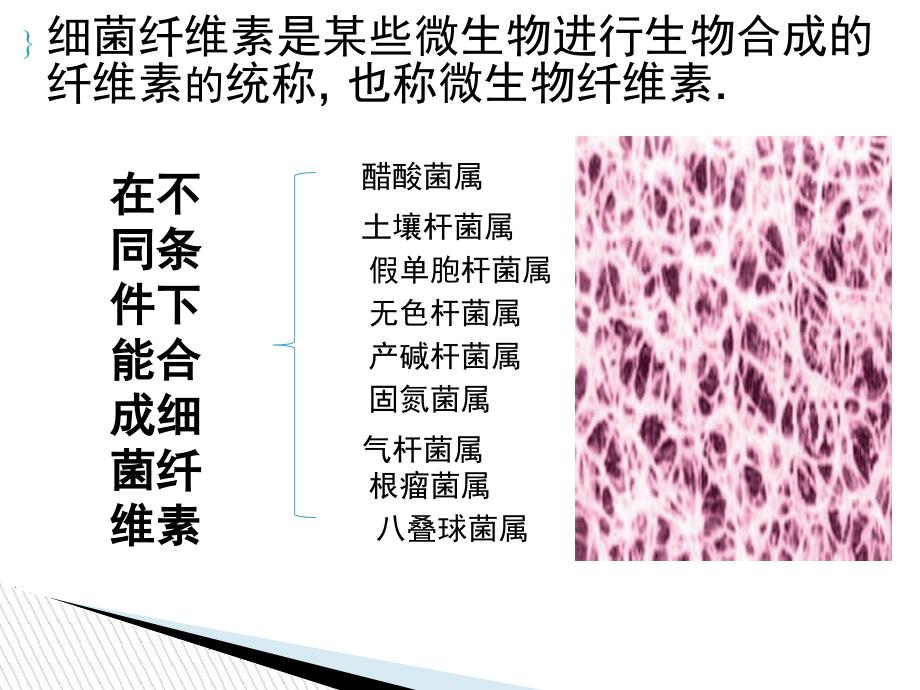 关于细菌纤维素在造纸工业中(新)_第2页