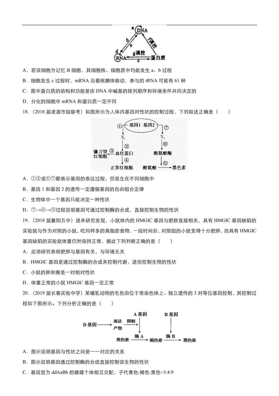 2019高考生物二轮小题狂做专练 18 基因的表达 word版含解析_第5页