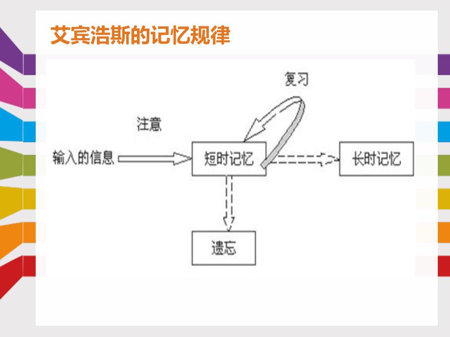 记忆规律_第3页