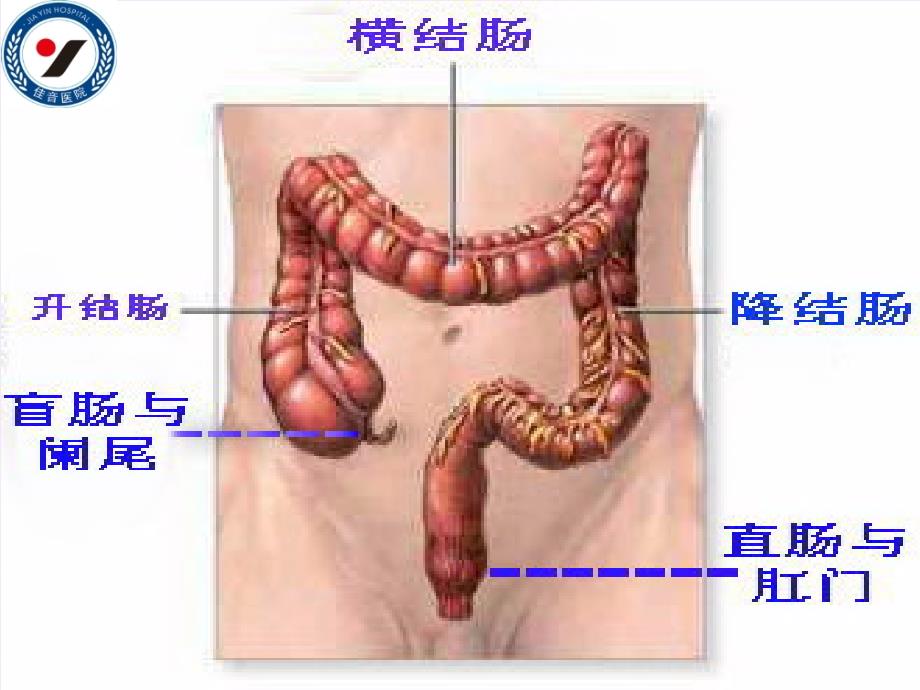 灌肠课件-演示文稿-_第4页