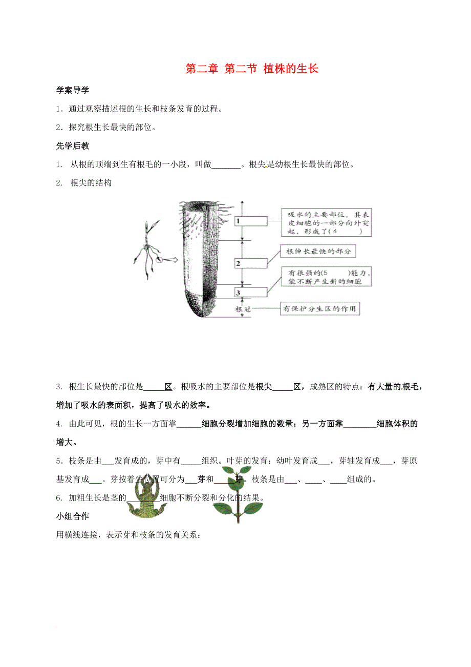 七年级生物上册 3_2_2 植株的生长学案（无答案）（新版）新人教版_第1页