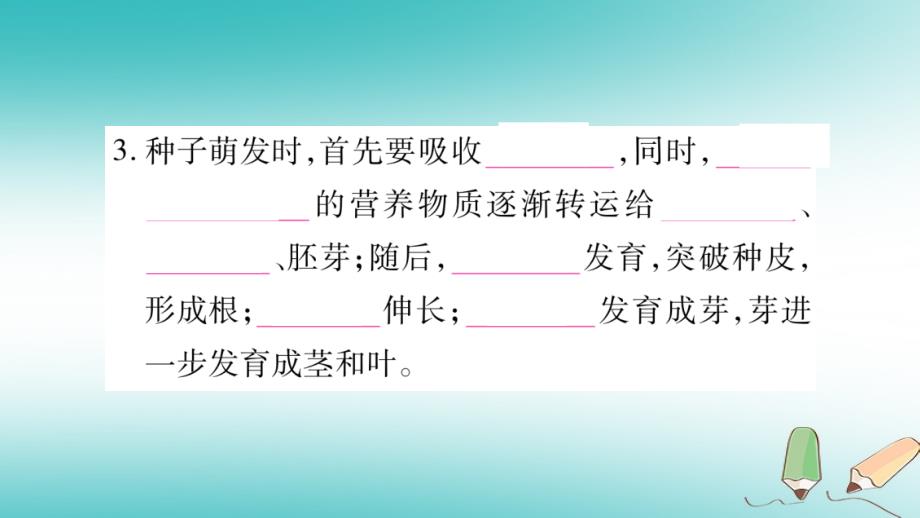 2018秋七年级生物上册第3单元第2章第1节种子的萌发习题课件新版新人教版_第4页