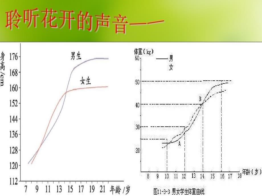 青春期发育__第5页